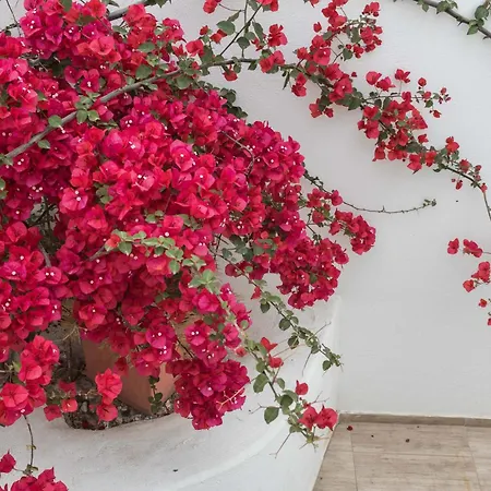 Depis Naxos Apartman *