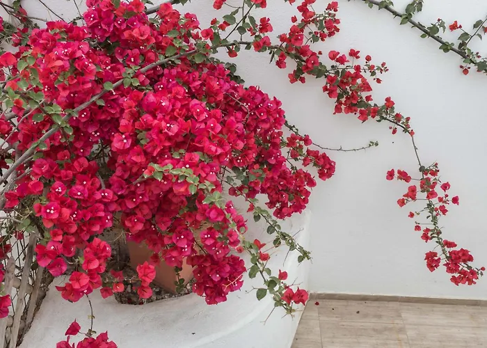 Depis Naxos Apartman *